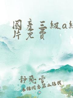 国产三级a级一片免费