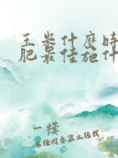 玉米什么时候施肥最佳施什么肥最好 玉米什么时候施肥最佳施什么肥最好