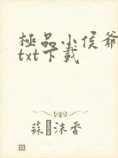 极品小侯爷小说txt下载
