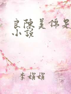 良陈美锦是什么小说 良陈美锦是什么小说