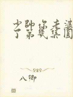 少帅你老婆又跑了第几集圆房