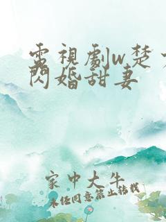 电视剧w楚少的闪婚甜妻