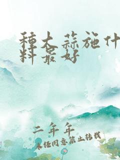 种大蒜施什么肥料最好