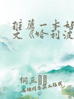 推荐一本好书范文《哈利波特》 推荐一本好书范文《哈利波特》