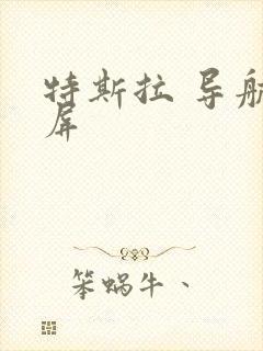 特斯拉 导航投屏