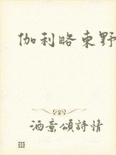 伽利略东野圭吾