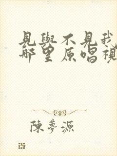 见与不见我都在哪里原唱视频