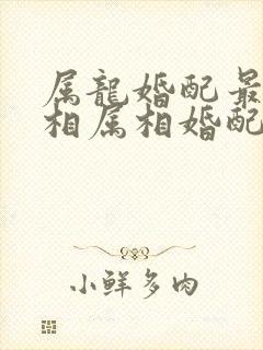 属龙婚配最佳属相属相婚配表