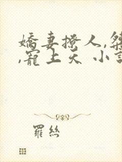 娇妻撩人,桀爷,宠上天 小说