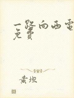 一路向西电影完免费