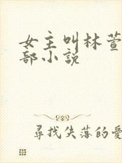 女主叫林萱是哪部小说