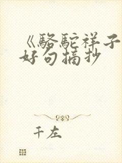 《骆驼祥子》的好句摘抄