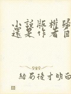 小说版权归网站还是作者自己