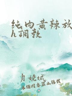 纯肉黄辣放荡高h调教
