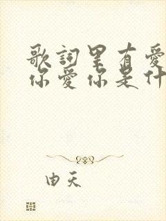 歌词里有爱你爱你爱你是什么歌