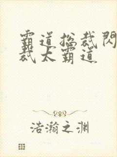 霸道总裁闪婚总裁太霸道