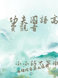 功夫国语高清免费观看