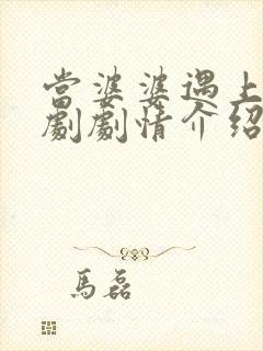 当婆婆遇上的妈剧剧情介绍 当婆婆遇上的妈剧剧情介绍