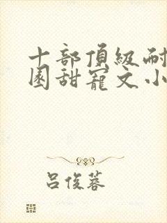 十部顶级耐看校园甜宠文小说