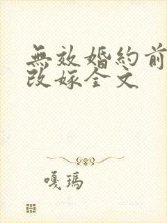 无效婚约前妻要改嫁全文