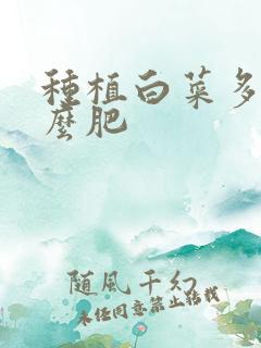 种植白菜多施什么肥