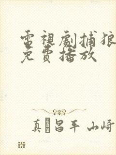 电视剧捕狼行动免费播放