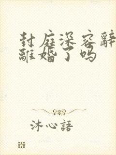 封庭深容辞最后离婚了吗
