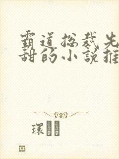 霸道总裁先虐后甜的小说推荐