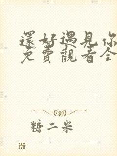 还好遇见你短剧免费观看全集高清