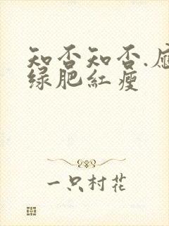 知否知否.应是绿肥红瘦