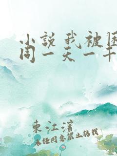 小说 我被困在同一天一千年