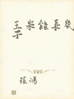 玉米能长几个棒子