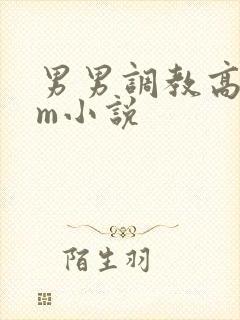 男男调教高hsm小说