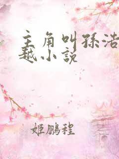 主角叫孙浩的穿越小说