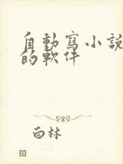 自动写小说神奇的软件