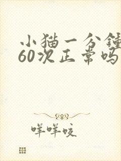 小猫一分钟呼吸60次正常吗