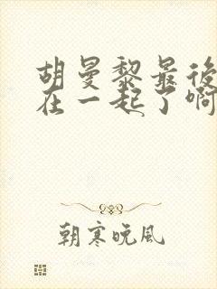 胡曼黎最后和谁在一起了啊
