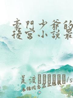 豪门少爷的极品后宫小说最新章节更