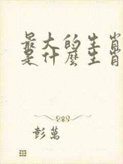 最大的生肖指的是什么生肖