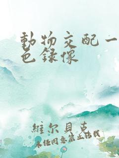 动物交配一级黄色录像 动物交配一级黄色录像