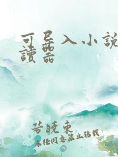 可导入小说的阅读器