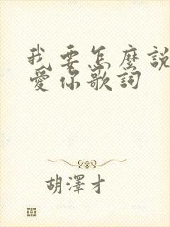 我要怎么说我不爱你歌词