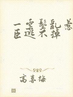 一云鬓乱惹上权臣逃不掉