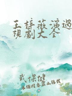 王梓薇演过的电视剧大全 王梓薇演过的电视剧大全