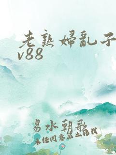 老熟妇乱子伦av88
