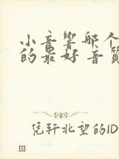 小音响哪个牌子的最好 音质最出众