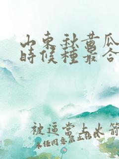 山东秋黄瓜什么时候种最合适