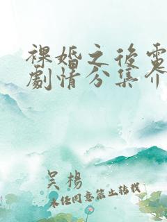 裸婚之后电视剧剧情分集介绍 裸婚之后电视剧剧情分集介绍