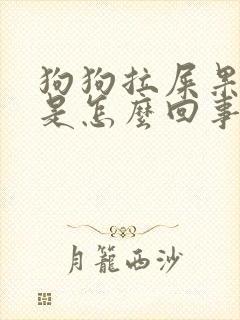 狗狗拉屎果冻状是怎么回事
