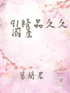 91精品久久久国产